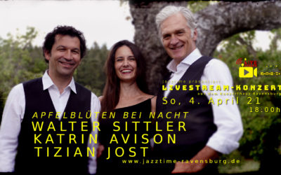 Livestream-Konzert mit APFELBLÜTEN BEI NACHT